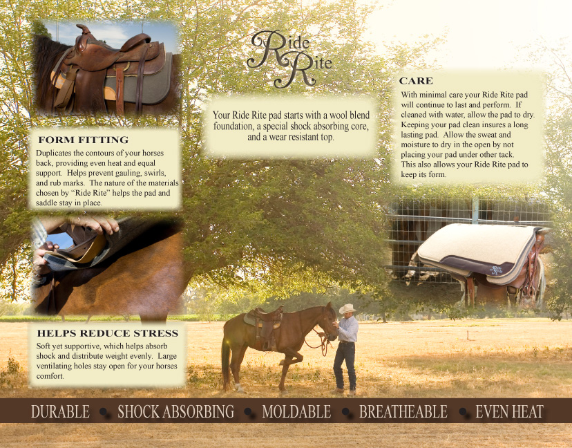 ride rite brochure-2.jpg